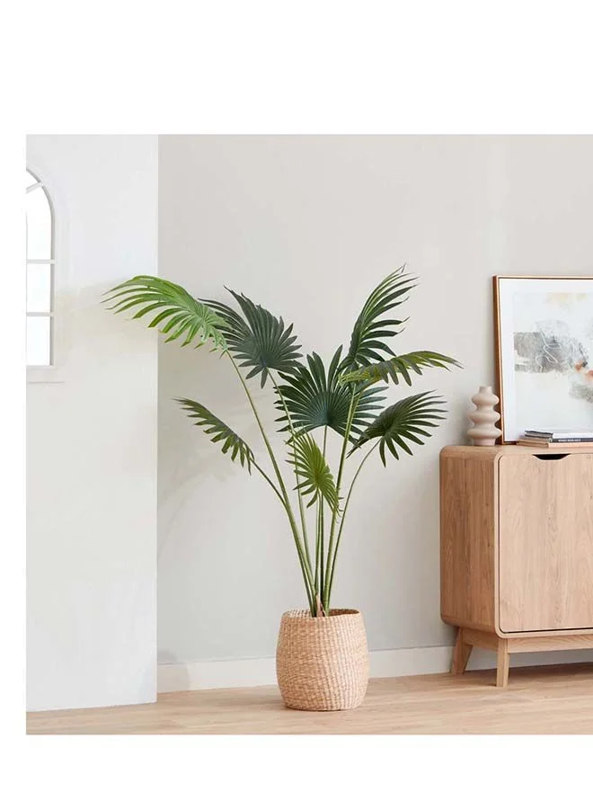 Home Box Teodoara Fan Palm Tree 160 cm