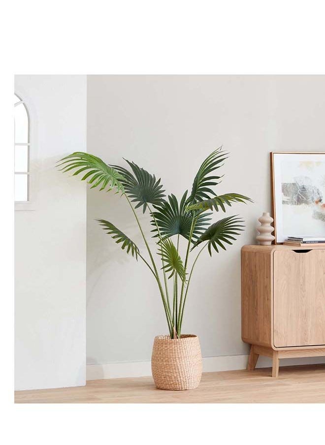 Home Box Teodoara Fan Palm Tree 160 cm  - Image 1
