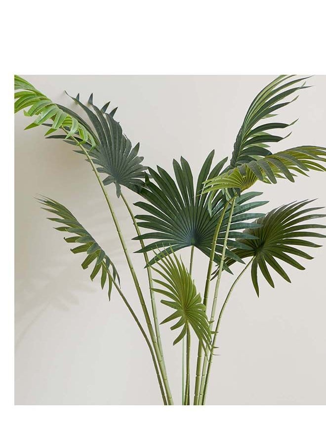 Home Box Teodoara Fan Palm Tree 160 cm  - Image 2