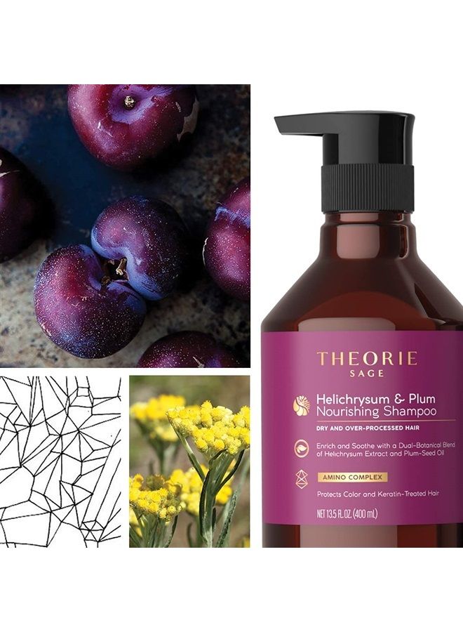 Theorie : Sage - Helichrysum & Plum - Nourishing Shampoo - For Dry & Over-Processed Hair - Protects Color & Keratin Treated Hair, 400ml (Label Design May Vary) - Image 3