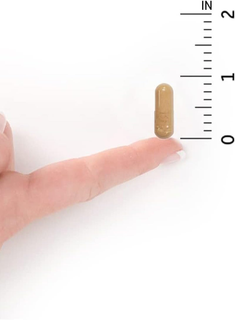 Garden of Life Ultimate Care 100 Billion Cfu Shelf Stable Non Refrigerated Probiotic Supplement Clinically Studied Strains Digestive Enzymes 30 Capsules - Image 4