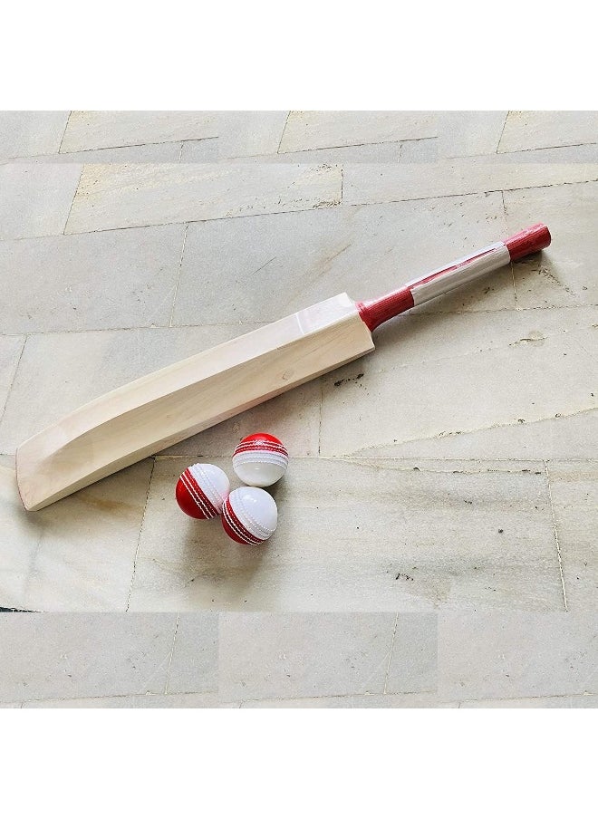 AnNafi Dual Color Cricket Coaching Balls Sports Training & Fun Balls | Training Balls Double Color red and White | Sports & Games (3) - pzsku/Z24F7CE0BF7349A43A539Z/45/_/1725962002/be055881-cd2e-44ba-994d-c66b7e1bb187