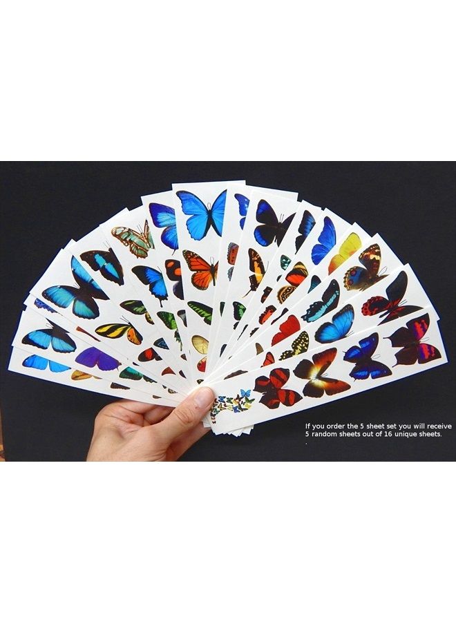 Butterfly Utopia Colorful Temporary Butterfly Tattoos - 5 Sheets - by Butterfly Utopia - Image 3