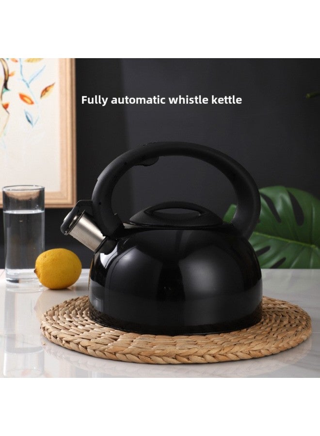 Wild Teapot Cap Explosion-proof Travel Household Stainless Steel Flat Bottom Sound Kettle Induction Cooker Gas Stove Free Shipping-Color:Thickened Stainless Steel Natural Color 3 Liters-Capacity:Default  - Image 2