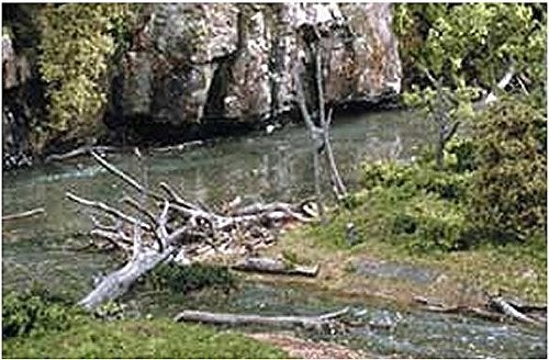 Woodland Scenics Dead Fall Branches .5oz- 1/pkg - Image 3