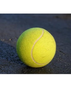 Tennis Ball Green Color - pzsku/Z24FD52E1F5DC1896CB21Z/45/_/1727099485/5e1d8b4a-f428-4176-ac05-b290f52885c7