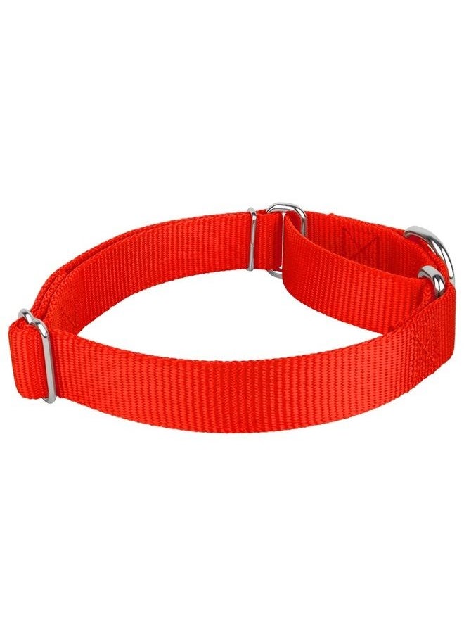 Country Brook Design Country Brook Petz - Hot Orange Martingale Heavy Duty Nylon Dog Collar - 21 Vibrant Color Options (3/4 Inch Width, Small) 