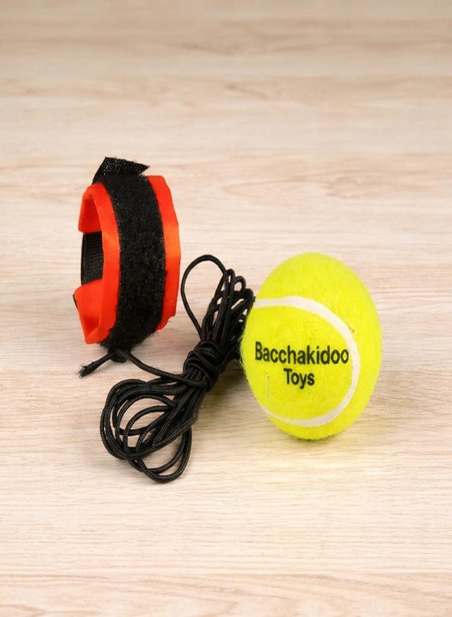 Bacchakidoo Cricket Tennis Hanging Ball for Kids Easy to Hang & Ideal for Indoor and Outdoor Hanging Cricket Practice Rope Ball for Boys and Adults (Pack of 1) - Image 1