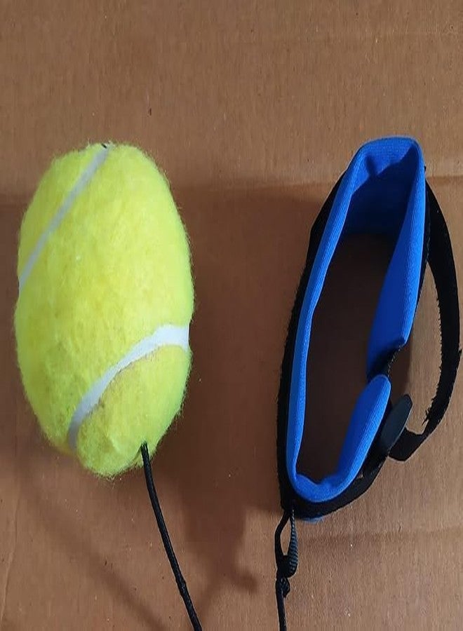 Bacchakidoo Cricket Tennis Hanging Ball for Kids Easy to Hang & Ideal for Indoor and Outdoor Hanging Cricket Practice Rope Ball for Boys and Adults (Pack of 1) - Image 2