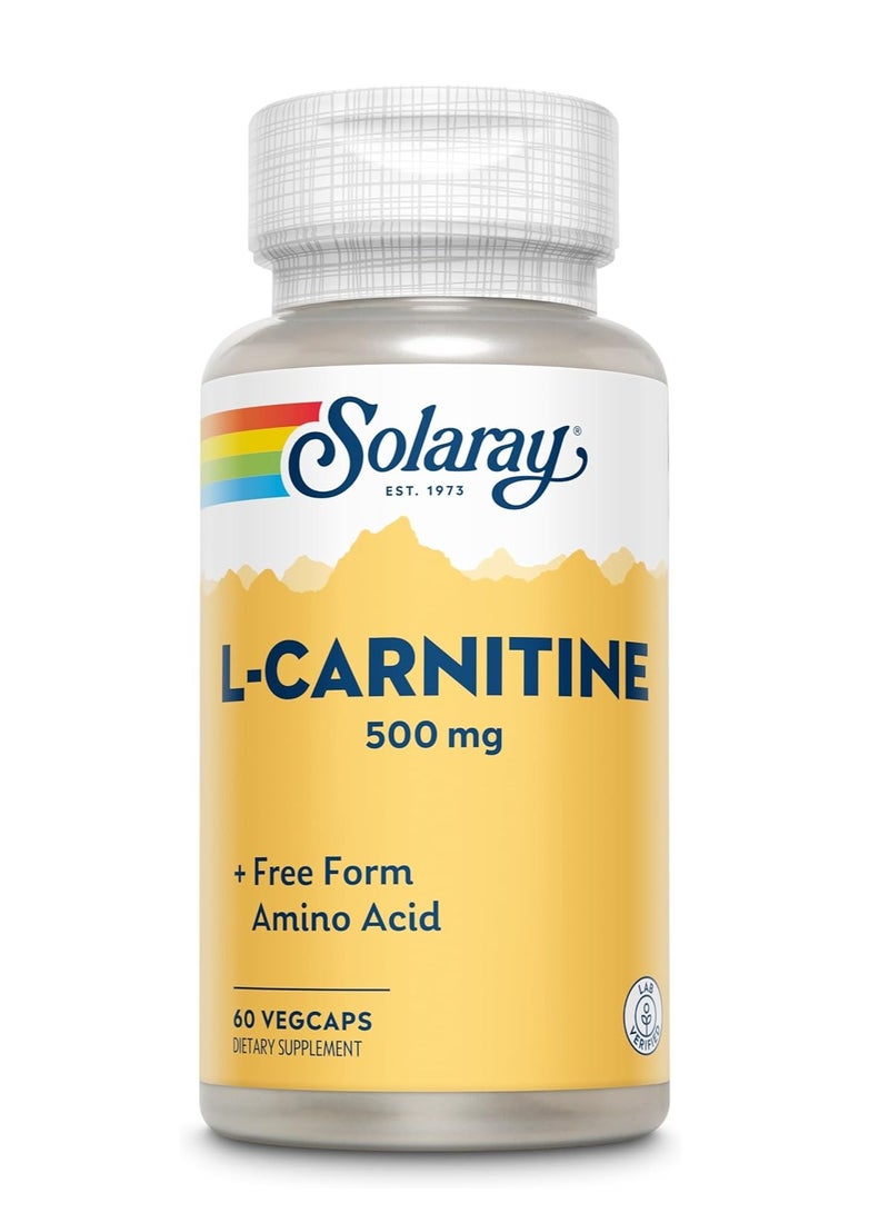 SOLARAY L-Carnitine 500mg – Energy & Metabolism Support – 60 Vegetarian Capsules - Image 1