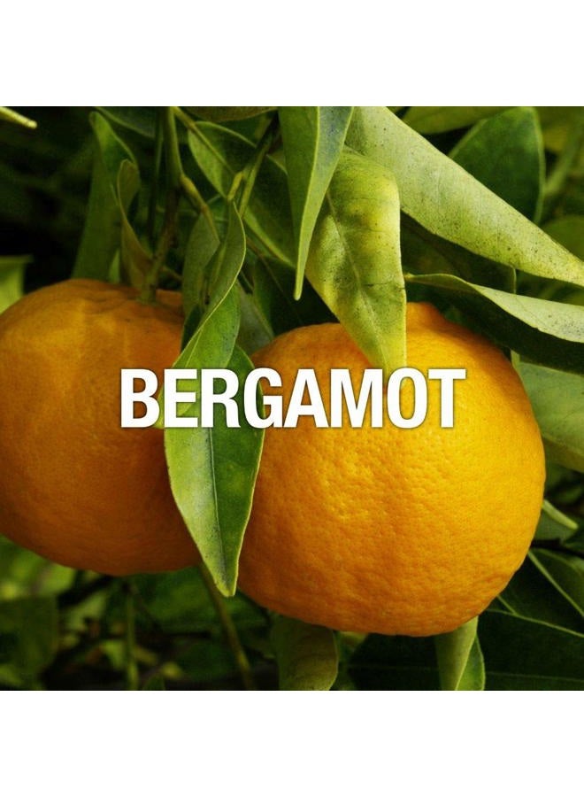 Curve Men's Cologne Fragrance Spray, Casual Cool Day or Night Scent, Curve Spark, 2.5 Fl Oz - Image 4