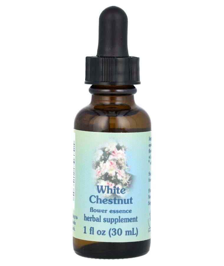 White Chestnut Flower Essence 1 fl oz (30 ml)