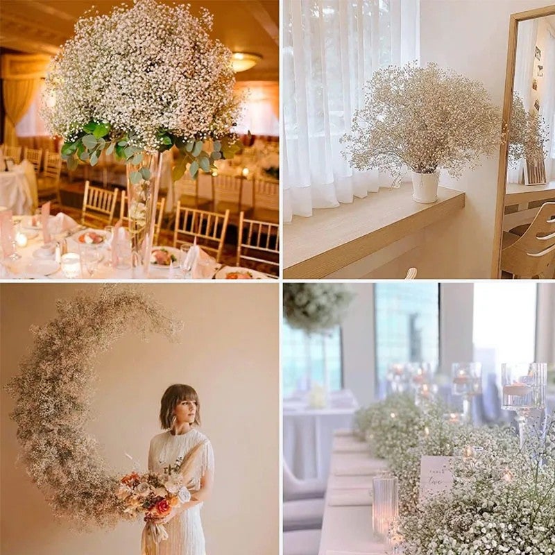 Bluejw Boho Party Wedding Home Decor – 80g Dried Baby's Breath Bouquet | Natural Dried Plants for Rustic Wedding Flower Arrangements, Centerpieces & DIY Decor - Image 4