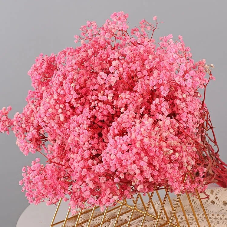 Bluejw Boho Party Wedding Home Decor – 80g Dried Baby's Breath Bouquet | Natural Dried Plants for Rustic Wedding Flower Arrangements, Centerpieces & DIY Decor - Image 1