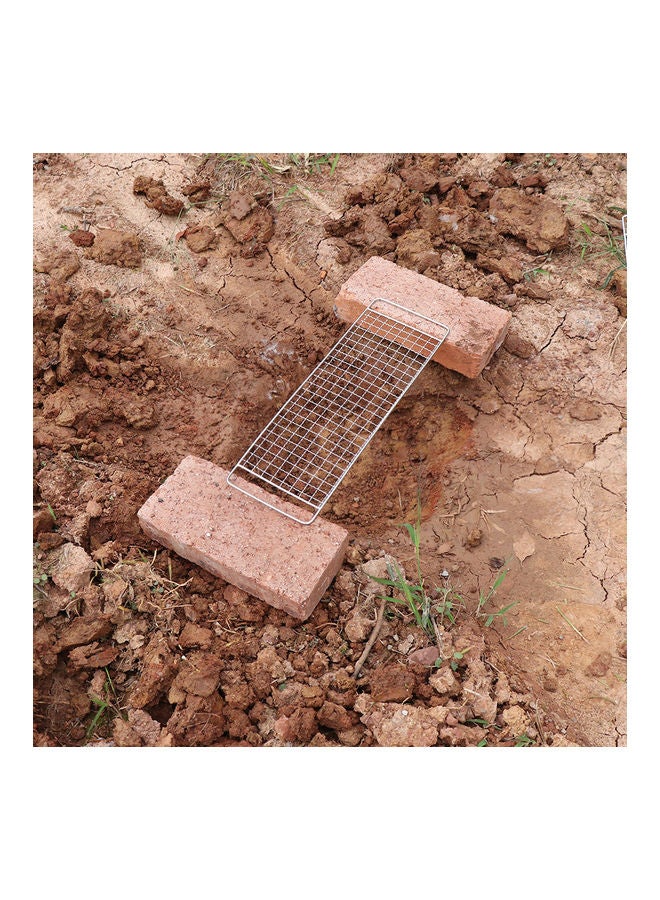 Loquat Outdoor Picnic Camping Grill Net And Storage Pouch - Image 2