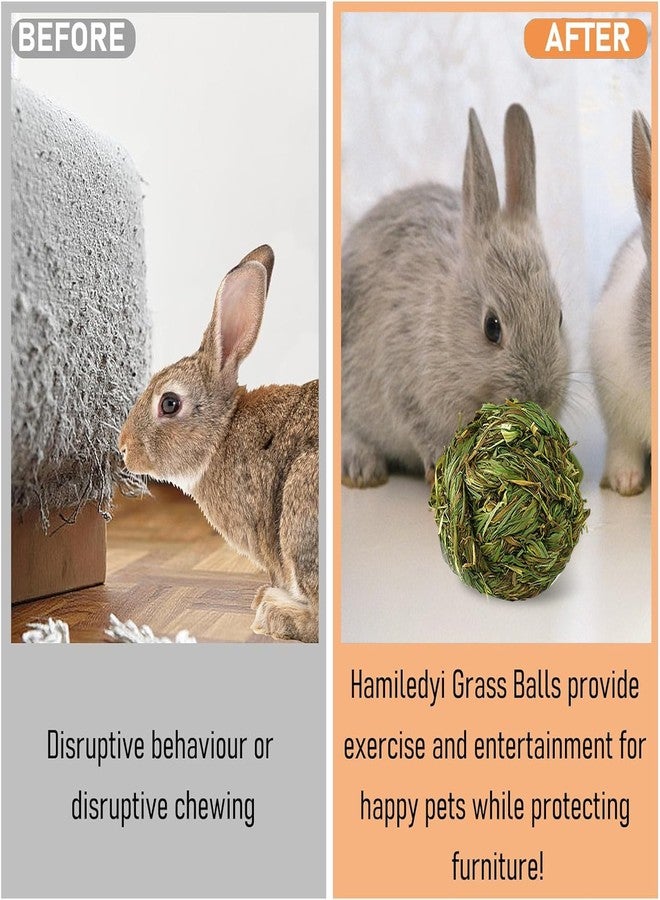 Hamiledyi 12 Pcs Rabbit Chew Ball Timothy Grass Ball Small Animal Activity Play Chew Toys Teeth Grinding for Bunny Rabbits Hamster Guinea Pigs Gerbils Chinchillas - Image 5