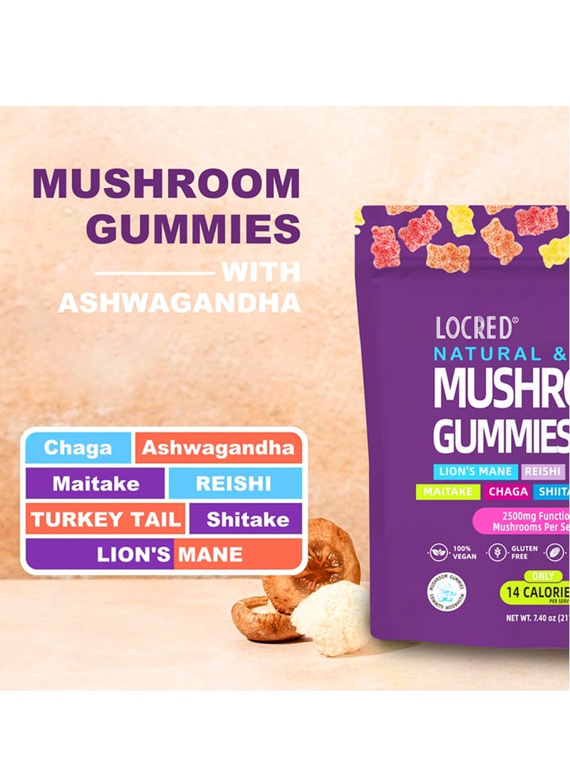locred Ashwagandha and Lions Mane Mushroom Supplement Gummies  Organic Reishi Cordyceps Turkey Tail Maitake Shitake Chaga  Immune Defense Boosts Cognitive Performance Vegan Low Carb  - Image 3