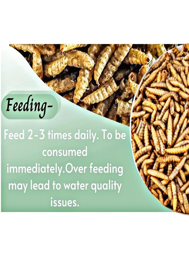 Mistletoe® Dried Black Soldier Fly Larvae - Premium Aquarium Fish Food (150gm) for Arowana, Flowerhorn, Red Parrot & Large Ornamental Fish, Turtle | Natural, Nutrient-Rich and Color-Enhancing Formula - Image 2