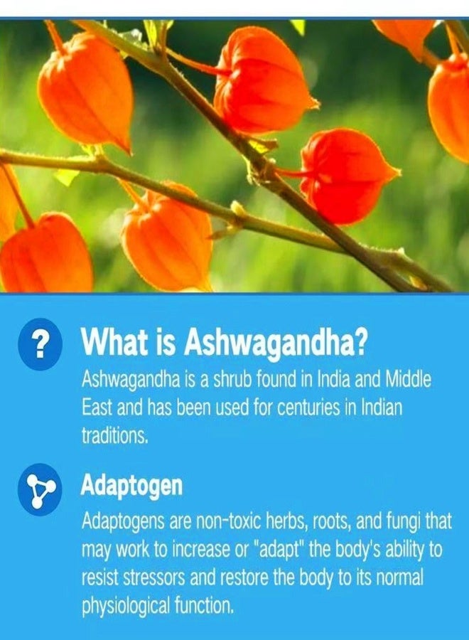 Daynee Ashwagandha  Gluten-free Mixed Berry Gummies Reduce Stress Support Sleep Muscle Strength Vitamin D/C Vegan Gummy 60pcs - Image 4