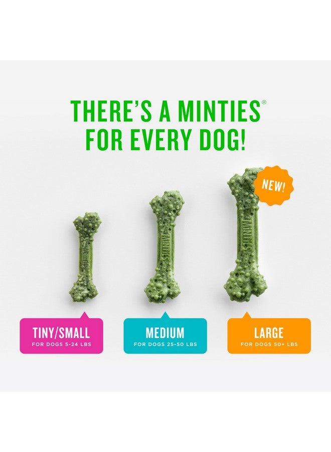 Minties Dental Chews for Dogs, 60 Count, Vet-Recommended Mint-Flavored Dental Treats for Medium Dogs 25-50 lbs, Dental Bones Clean Teeth, Fight Bad Breath, and Removes Plaque and Tartar - Image 5