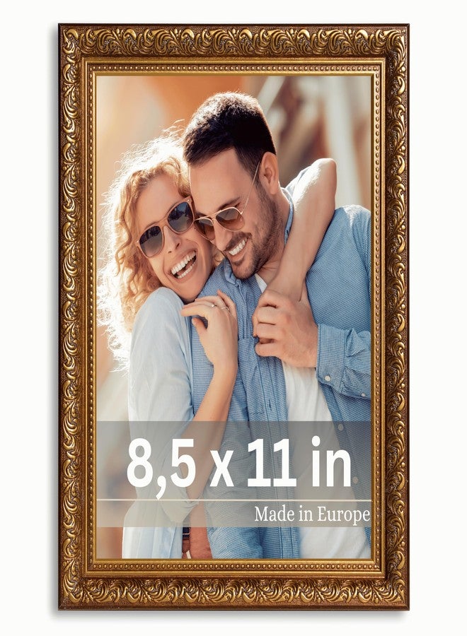 فيكتور إطار صور VictoR مقاس 8.5 × 11 بوصة، لون بني ذهبي، من مجموعة روبنز - إطارات صور مقاس 8.5 × 11 بوصة - مع زجاج أكريليك مقاوم للكسر - عتيق - بني 8.5 × 11 بوصة - للتعليق فقط - Image 1