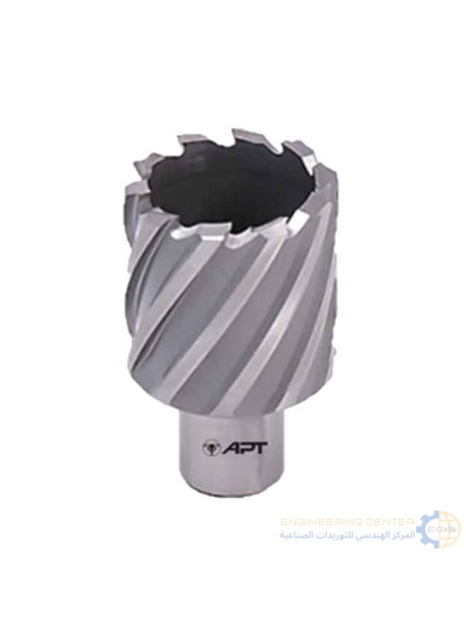 Apt Magnetic bit 30mm x 3cm APT HSS-XE