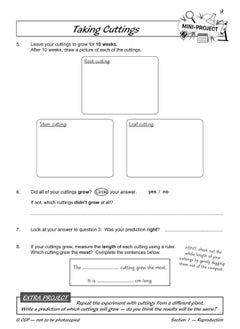 KS2 Science Year Five Workout: Life Cycles & Reproduction  - Image 5