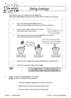 KS2 Science Year Five Workout: Life Cycles & Reproduction  - Image 4