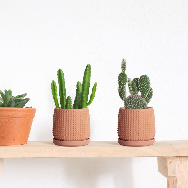D'vine Dev Set of 2 Ceramic Plants Pots, 4 Inch Beaded Stoneware Flower Pot for Plants with Drainage Hole and Saucer, Terracotta, 27-E-Z-7 - Image 3