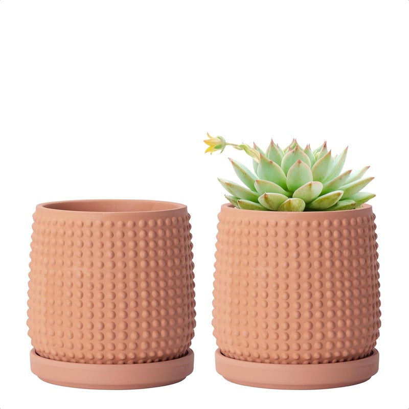 D'vine Dev Set of 2 Ceramic Plants Pots, 4 Inch Beaded Stoneware Flower Pot for Plants with Drainage Hole and Saucer, Terracotta, 27-E-Z-7 - Image 1