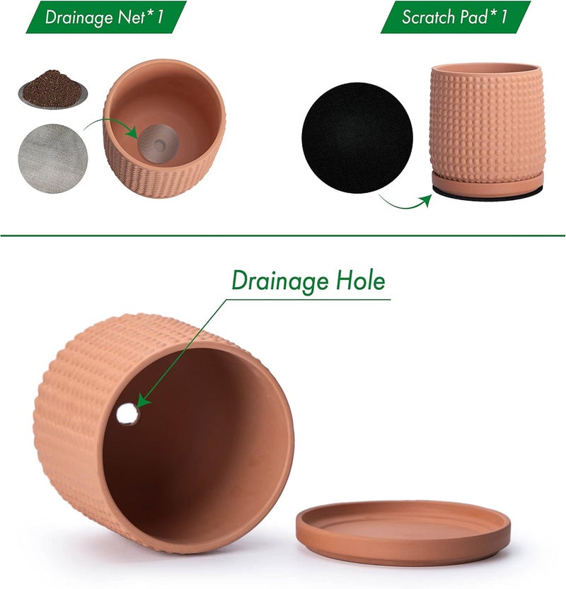 D'vine Dev Set of 2 Ceramic Plants Pots, 4 Inch Beaded Stoneware Flower Pot for Plants with Drainage Hole and Saucer, Terracotta, 27-E-Z-7 - Image 4