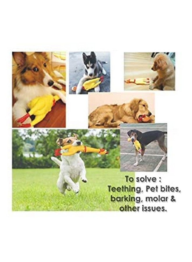 Dogs Screaming Rubber Squeaky Toy, Chicken Pet Interactive Chewable Toy For Dogs, Cats And Other Animals - Chicken Squak Toy - Image 3
