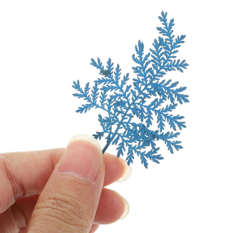 Blue Dried Leaves 48 Pieces Pressed Leaves Craft Kit for DIY Bookmarks Greeting Cards - Image 5