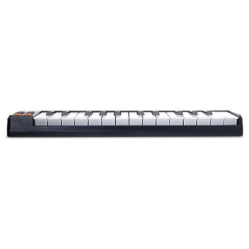 Akai Professional أكاي بروفيشنال LPK25 | لوحة مفاتيح USB MIDI محمولة فائق النحافة بـ 25 مفتاح للتحكم لأجهزة اللابتوب - Image 4
