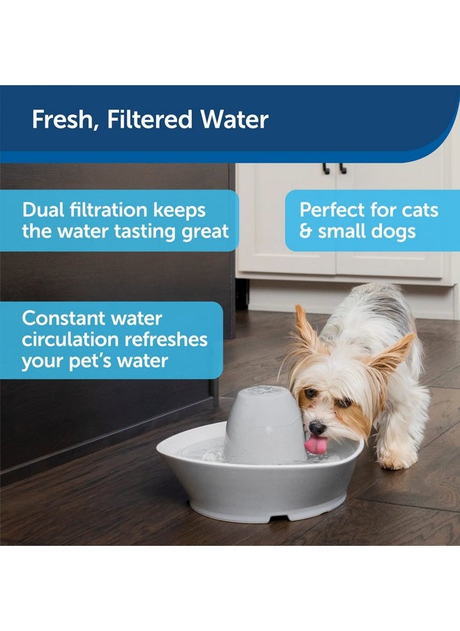 بيت سيف نافورة سيراميك للحيوانات الأليفة من PetSafe - للقطط والكلاب الصغيرة - سعة مياه 60 أونصة - تدفق مياه هادئ للغاية - مثالية للحيوانات الأليفة الخجولة أو المترددة - مياه نقية ومفلترة  - Image 4