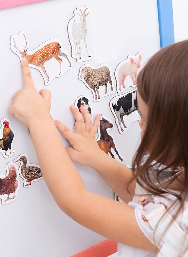 Magdum Kids Magnets for Fridge - Farm+Zoo+Fruits+Vegs Photo in Tin Gift Box - 85 Large Fridge Magnets for Toddlers - Refrigerator Magnets - Image 5