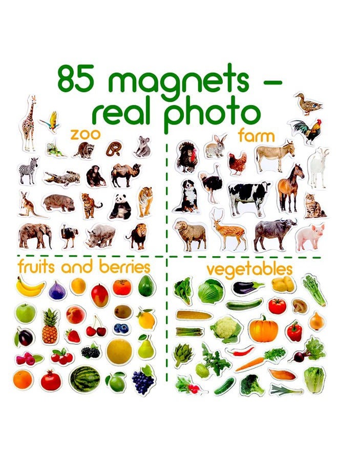 Magdum Kids Magnets for Fridge - Farm+Zoo+Fruits+Vegs Photo in Tin Gift Box - 85 Large Fridge Magnets for Toddlers - Refrigerator Magnets - Image 3