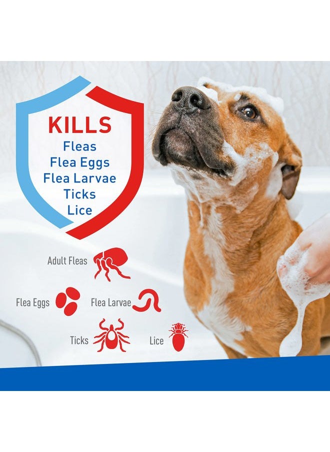 ADAMS Plus Flea & Tick Foaming Shampoo & Wash for Dogs & Puppies Over 12 Weeks | Sensitive Skin Flea Treatment for Dogs and Puppies | Kills Adult Fleas, Ticks, and Lice On Contact | 10 Oz  - Image 3