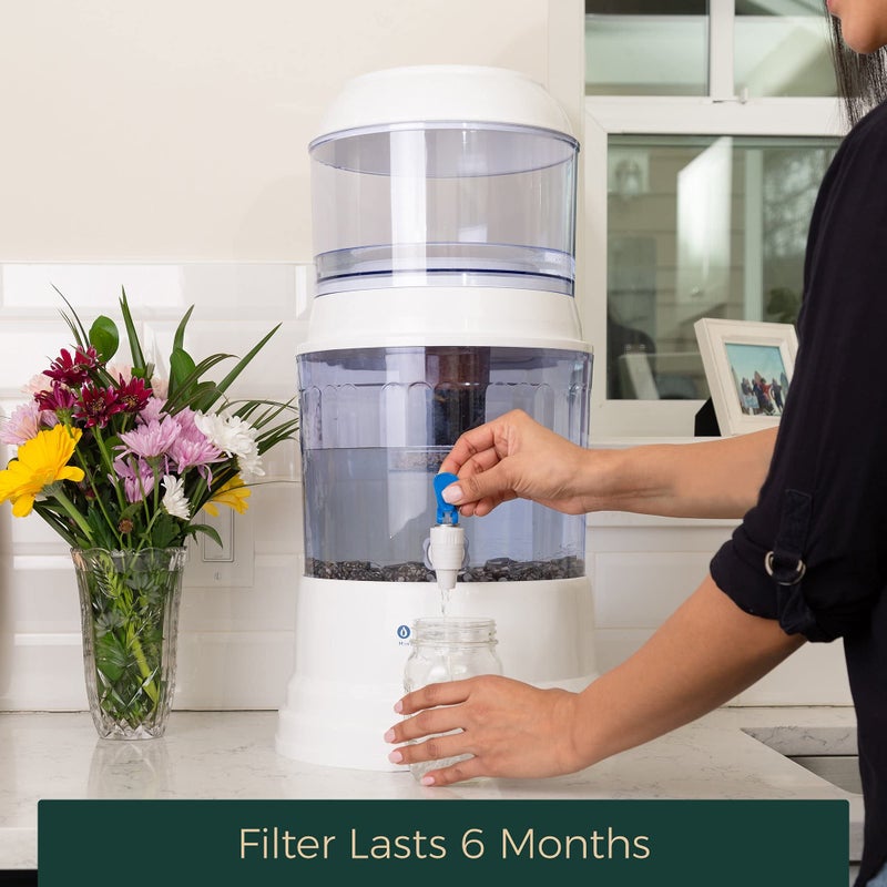 Santevia 5-Stage Alkaline Replacement Filter for the Gravity Water System by Santevia | At Home Water Filter that Makes Water Alkaline and Adds Minerals | Filters Chlorine and Lead - Image 5