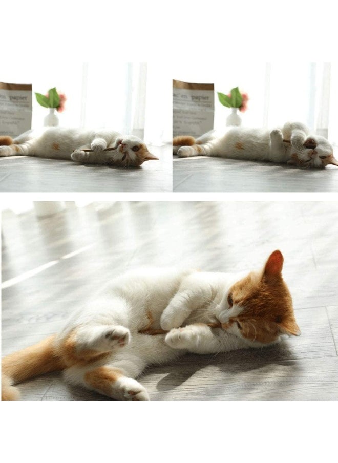 Mumoo Bear 30Pcs Cat Catnip Sticks, Cat Chew Sticks, Cat Catnip toys, Natural Matatabi Silvervine Chew Sticks, Teeth Grinding Chew toys for Cat, Dental Catnip Toys for Cat Kitten