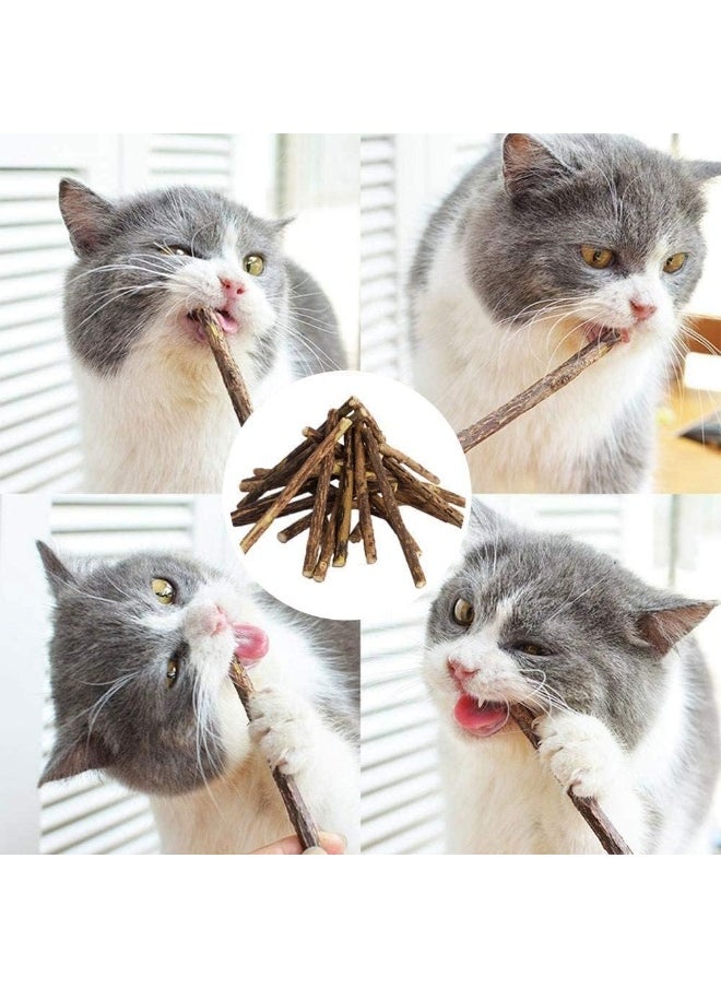 Mumoo Bear Mumoo Bear 30Pcs Cat Catnip Sticks, Cat Chew Sticks, Cat Catnip toys, Natural Matatabi Silvervine Chew Sticks, Teeth Grinding Chew toys for Cat, Dental Catnip Toys for Cat Kitten  - Image 4