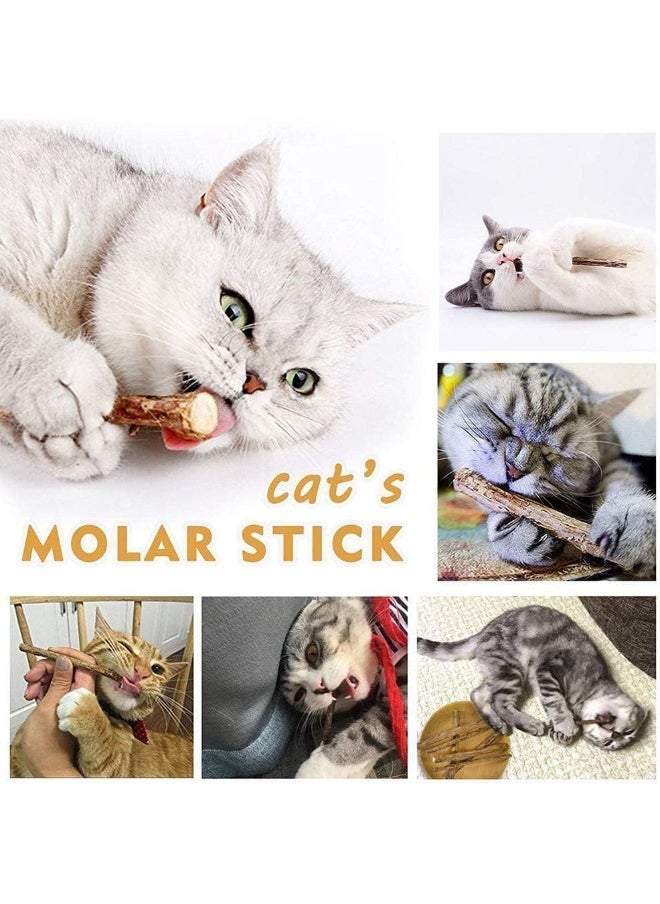 Mumoo Bear Mumoo Bear 30Pcs Cat Catnip Sticks, Cat Chew Sticks, Cat Catnip toys, Natural Matatabi Silvervine Chew Sticks, Teeth Grinding Chew toys for Cat, Dental Catnip Toys for Cat Kitten  - Image 2