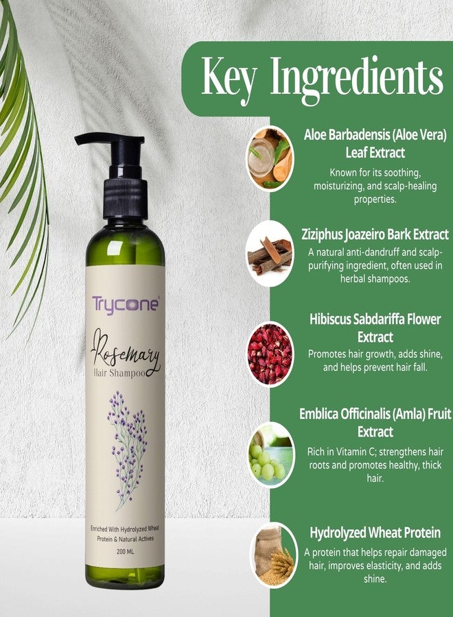 Trycone Rosemary Hair Shampoo with Hydrolyzed Wheat Protein, Hibiscus & Natural Actives | Controls Hair Fall, Reduces Dandruff & Promotes Hair Growth - 200 ml - Image 2