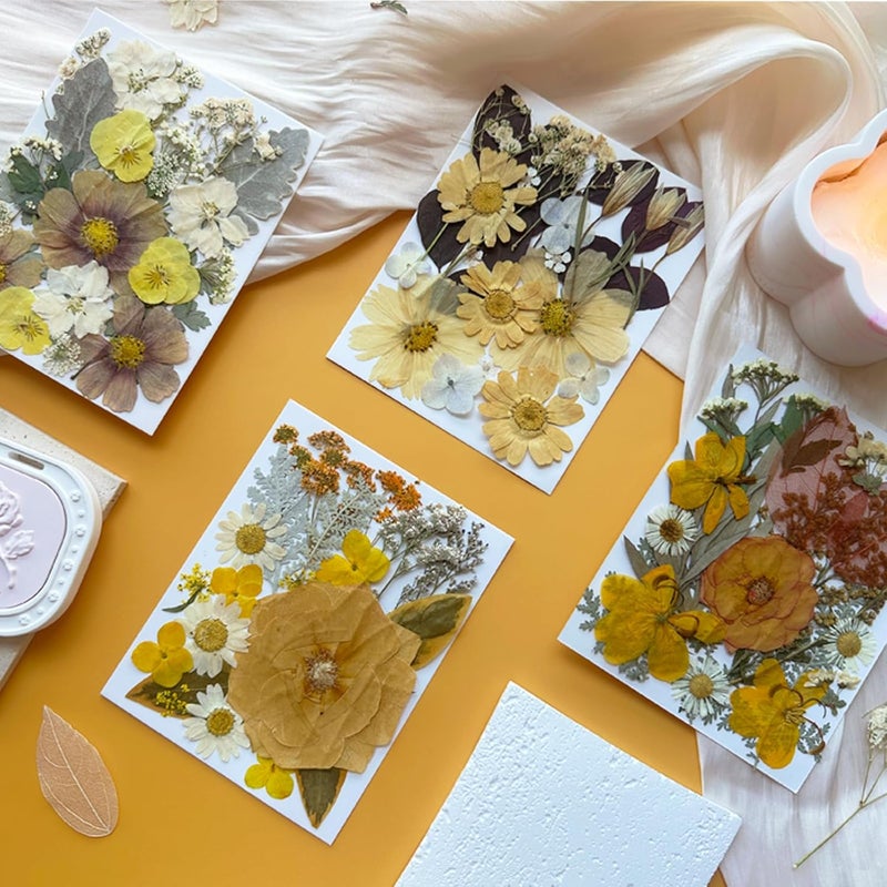 MIKIYA 90Pcs Dried Pressed Flowers for Resin Molds, Vintage White Bulk Real Natural Dry Floral for DIY Art Crafts, Epoxy Jewelry, Candle, Soap Making, Nails Decor, Phone Case - Image 3