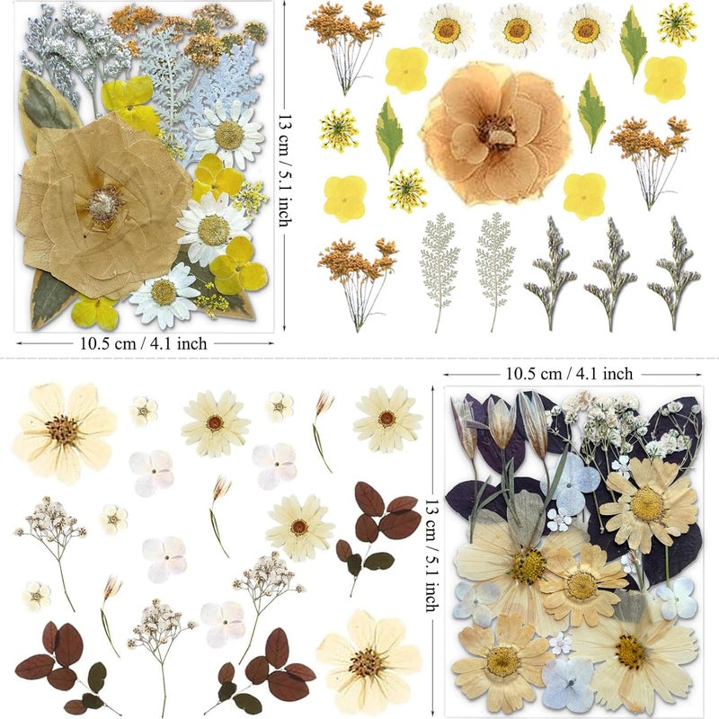 MIKIYA 90Pcs Dried Pressed Flowers for Resin Molds, Vintage White Bulk Real Natural Dry Floral for DIY Art Crafts, Epoxy Jewelry, Candle, Soap Making, Nails Decor, Phone Case - Image 5