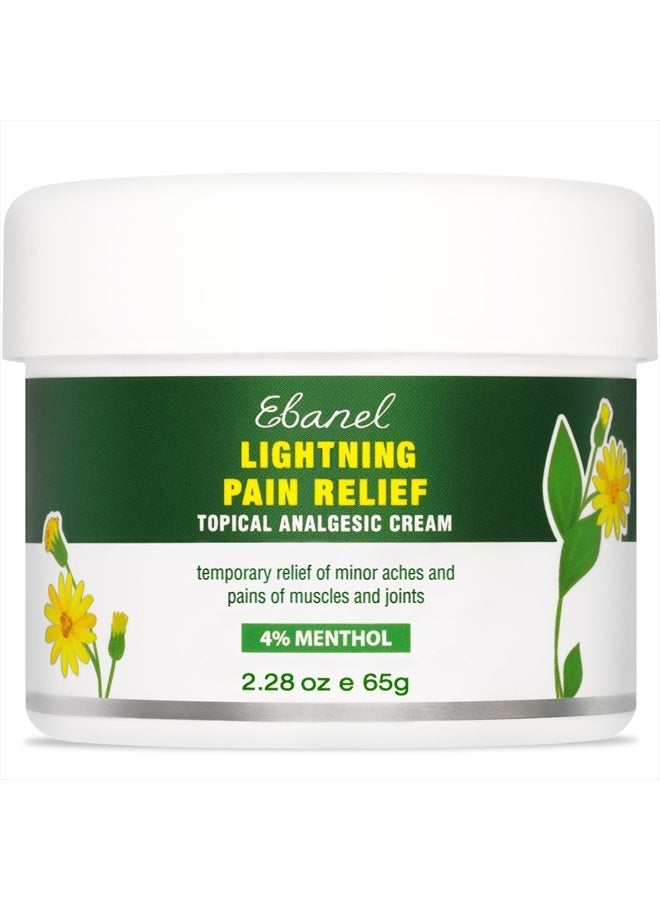 Ebanel Menthol Arnica Gel Pain Relief Cream with Hemp Oil, Emu Oil, MSM, Camphor, Vitamin B6, Boswellia, Bruise Cream Muscle Rub for Arthritis, Strains, Sprains, Joint Pain - Image 1