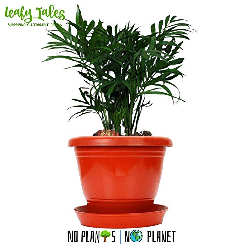 Leafy Tales 6-inch Plastic Flower Pots with 4-inch Dripping Trays (Pack of 5 Sets) - Terracotta Colour Garden Gamla for Home & Outdoor Balcony - Durable Indoor/Outdoor Planters with Drainage Saucers - Image 4