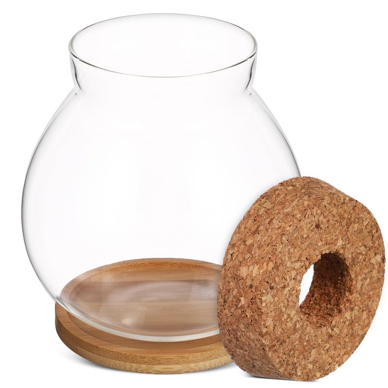 POPETPOP Desktop Glass Fish Bowl - Round Small Fish Tank with Wood Stopper & Bamboo Mat, Clear Glass Betta Fish Bowl for Succulent Plants, Hydroponic Air Plant (5.1X5.5 in) - Image 5