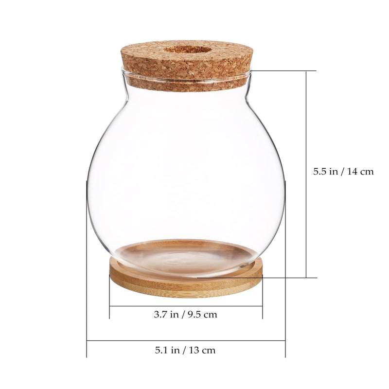 POPETPOP Desktop Glass Fish Bowl - Round Small Fish Tank with Wood Stopper & Bamboo Mat, Clear Glass Betta Fish Bowl for Succulent Plants, Hydroponic Air Plant (5.1X5.5 in) - Image 3