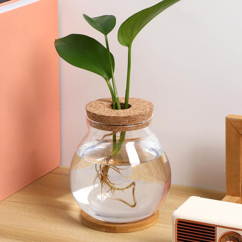 POPETPOP Desktop Glass Fish Bowl - Round Small Fish Tank with Wood Stopper & Bamboo Mat, Clear Glass Betta Fish Bowl for Succulent Plants, Hydroponic Air Plant (5.1X5.5 in) - Image 2